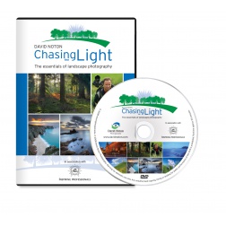 Lee Chasing the Light DVD